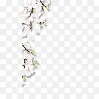 ��ɫ�ֻ滨��ֲ��-������