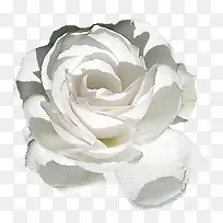 ��ɫ���껨��-������