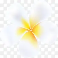 白色卡通唯美花朵-空若网 白色卡通唯美花朵-空若网