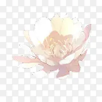 ��ɫĵ����ˮ�ʻ���-������