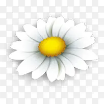 �ֻ��ɫ�������-������