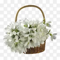 ������ɫ����-������