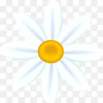 手绘白色花朵春天-空若网 手绘白色花朵春天-空若网