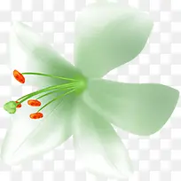 手绘白色婚礼花朵-空若网 手绘白色婚礼花朵-空若网