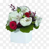 高清白色花朵绿叶-空若网 高清白色花朵绿叶-空若网