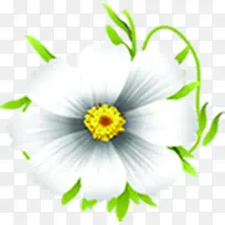 白色唯美简约白色花朵-空若网 白色唯美简约白色花朵-空若网