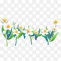 手绘白色花朵-空若网 手绘白色花朵-空若网