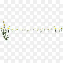 春天白色唯美花朵-空若网 春天白色唯美花朵-空若网