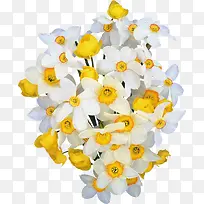 �ֻ��ɫ����͸��-������