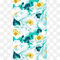 Ë®²Ê»°×É«»¨¶äº£±¨±³¾°-¿ÕÈôÍø Ë®²Ê»°×É«»¨¶äº£±¨±³¾°-¿ÕÈôÍø