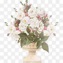 手绘水彩白色花朵-空若网 手绘水彩白色花朵-空若网