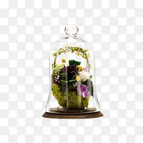 玻璃钟-空若网 玻璃钟-空若网