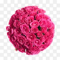 玫瑰花-空若网 玫瑰花-空若网