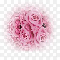 õ�屳��-������