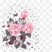 粉色玫瑰花-空若网 粉色玫瑰花-空若网