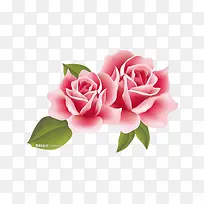 粉色玫瑰花矢量图-空若网 粉色玫瑰花矢量图-空若网