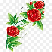 玫瑰花边框-空若网 玫瑰花边框-空若网