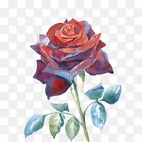 矢量玫瑰花-空若网 矢量玫瑰花-空若网
