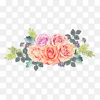 ˮ��õ�廨-������