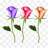 手绘玫瑰花-空若网 手绘玫瑰花-空若网