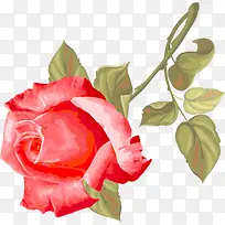 七夕情人节水彩玫瑰花-空若网 七夕情人节水彩玫瑰花-空若网