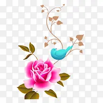 �ֻ滨��-������