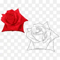 �ֻ�õ�廨-������