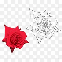 手绘玫瑰花-空若网 手绘玫瑰花-空若网