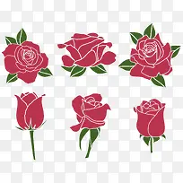 玫瑰花矢量素材-空若网 玫瑰花矢量素材-空若网