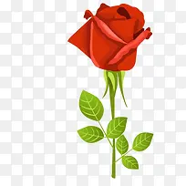 玫瑰花插画-空若网 玫瑰花插画-空若网