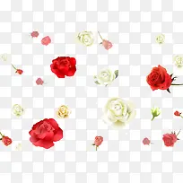 ������ʵ�õ�廨-������