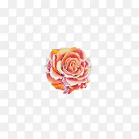 色彩手绘玫瑰花-空若网 色彩手绘玫瑰花-空若网