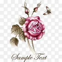 卡通手绘精美玫瑰花-空若网 卡通手绘精美玫瑰花-空若网