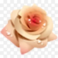 õ�廨-������