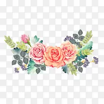 Ë®²ÊÏÊ»¨-¿ÕÈôÍø Ë®²ÊÏÊ»¨-¿ÕÈôÍø