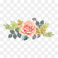 水彩鲜花-空若网 水彩鲜花-空若网