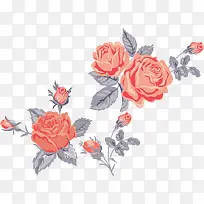 卡通手绘唯美玫瑰花-空若网 卡通手绘唯美玫瑰花-空若网