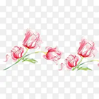 手绘花卉-空若网 手绘花卉-空若网