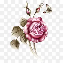 卡通手绘唯美玫瑰花-空若网 卡通手绘唯美玫瑰花-空若网