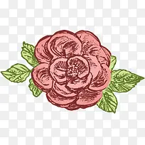 手绘玫瑰花-空若网 手绘玫瑰花-空若网