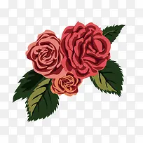 手绘玫瑰花-空若网 手绘玫瑰花-空若网