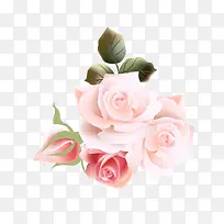精美手绘玫瑰花-空若网 精美手绘玫瑰花-空若网