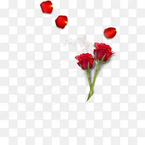 õ�廨 ����-������