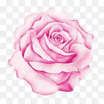 水彩玫瑰花-空若网 水彩玫瑰花-空若网