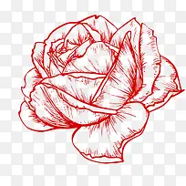 手绘玫瑰花-空若网 手绘玫瑰花-空若网