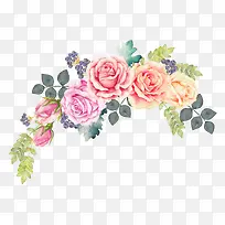 水彩玫瑰花-空若网 水彩玫瑰花-空若网