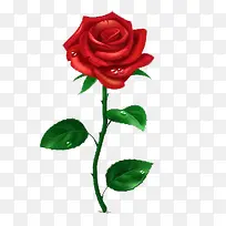 手绘玫瑰花-空若网 手绘玫瑰花-空若网