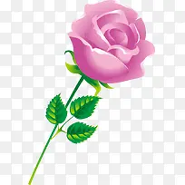 ��ͨ�ֻ�õ�廨-������