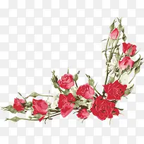 ˮ��õ�廨-������