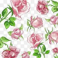 矢量手绘玫瑰花-空若网 矢量手绘玫瑰花-空若网